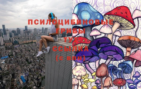 ГАЛЛЮЦИНОГЕННЫЕ ГРИБЫ Алексин