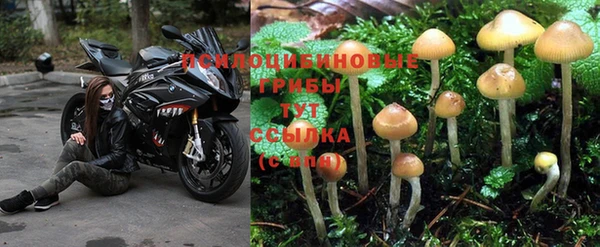 Альфа ПВП Алзамай
