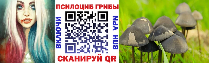 Галлюциногенные грибы MAGIC MUSHROOMS Ясный